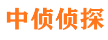 宛城市侦探调查公司